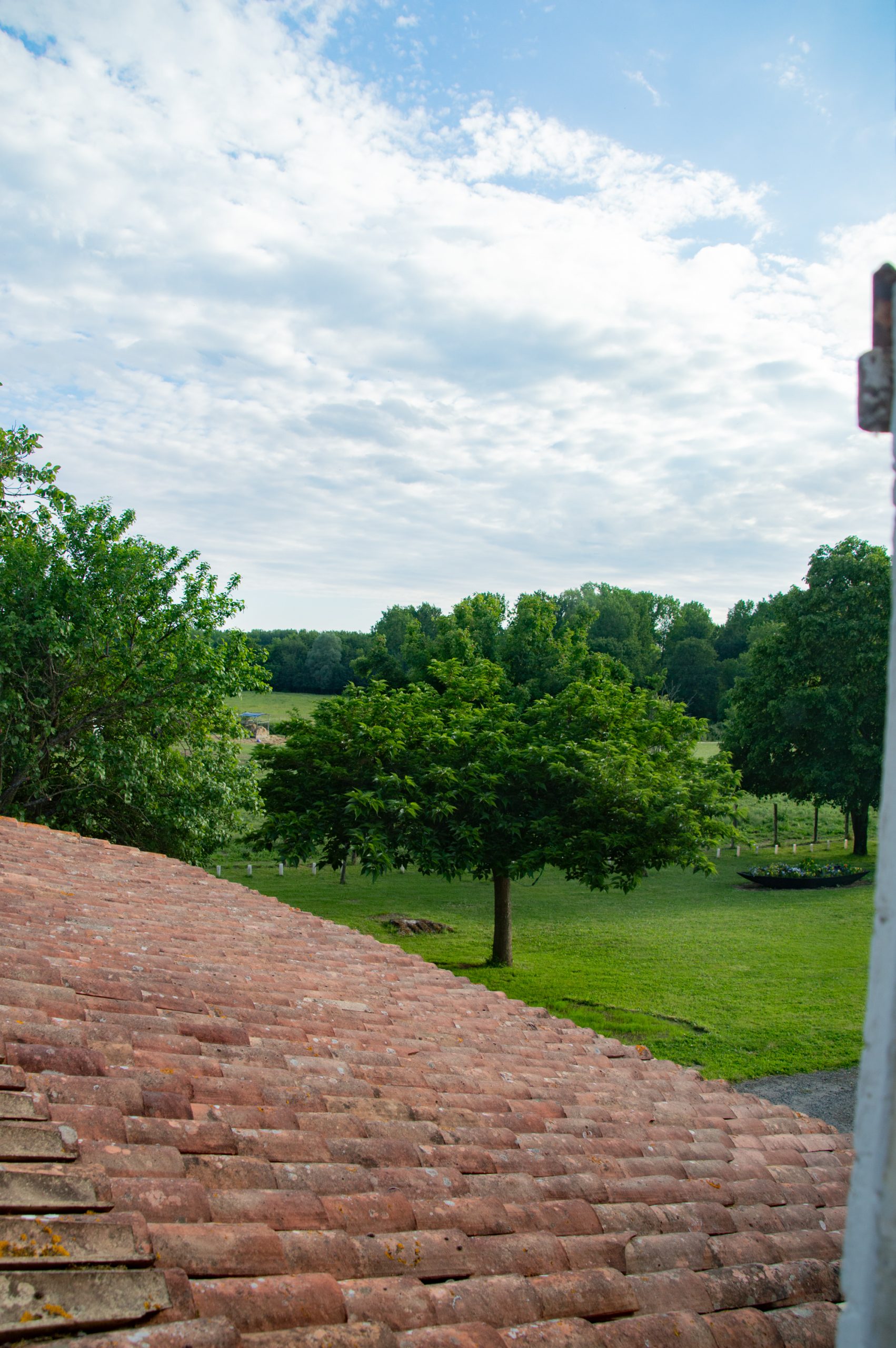 Vue sur jardin, chambre 1